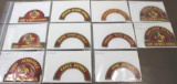 Collection of Pony Express Council Patches with 6 Additional District Name Patches