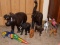 Mixed Animal Figures