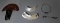 Silver Slipper Earrings & Hair Pieces