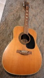 Wilson Acoustic Guitar