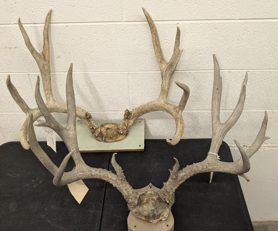 Double Mounts