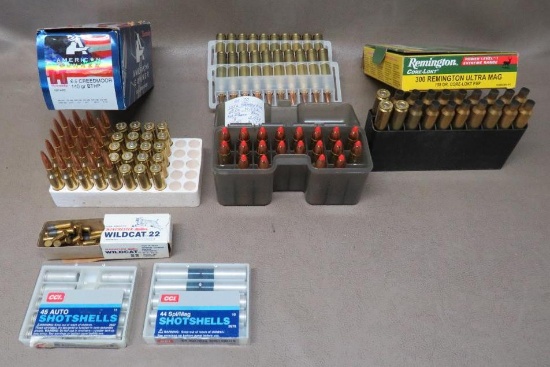 Ammunition and Reloaders Assortment