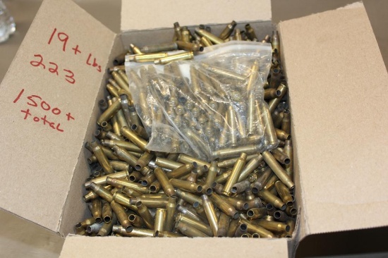 Box Filled with Mixed 223 Brass for Reloading
