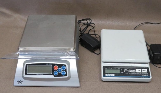 Two Digital Platform Scales