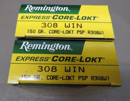 308 Winchester Ammunition