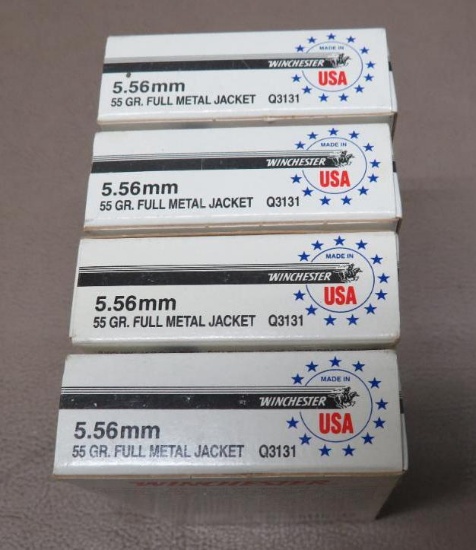 5.56 Ammunition