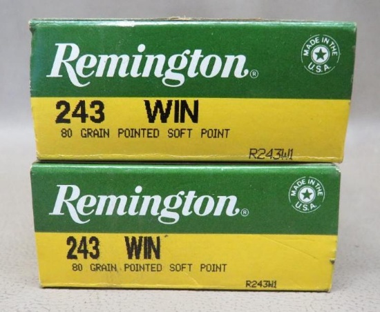 243 Winchester Ammunition