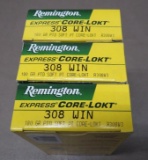 308 Winchester Ammunition