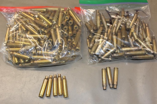 223 Brass for Reloading