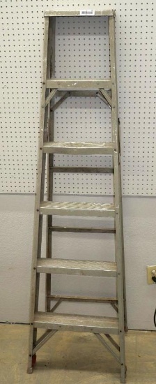Werner 6' Ladder