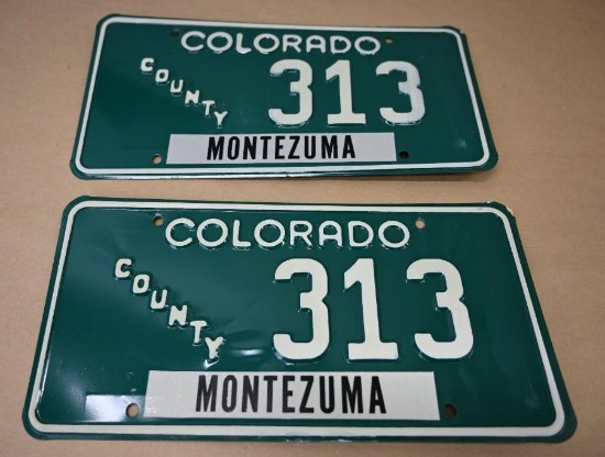 Colorado County Plate Pair