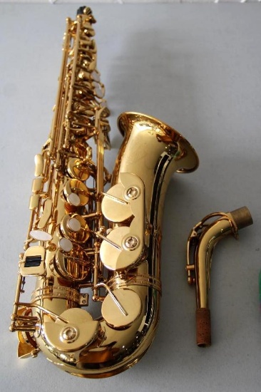 Beautiful Gemein Alto Sax in Hard-Shell Case