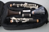 Gorgeous Antigua Clarinet CL3230S in Zip Case