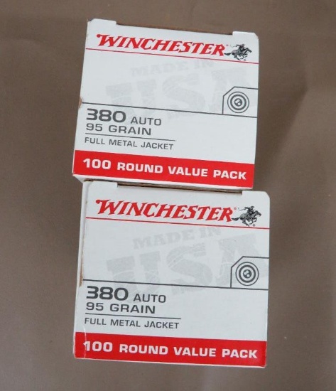 380 ACP Ammunition