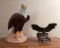 The Eagle's Scream