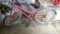 Schwinn Beach Cruiser
