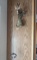 Entry Bells