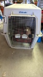 Extra Large Dog Kennel