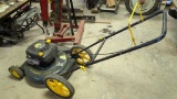 Craftsman Mulcher