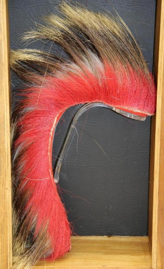Encased Plains Indians' Horsehair Head Roach