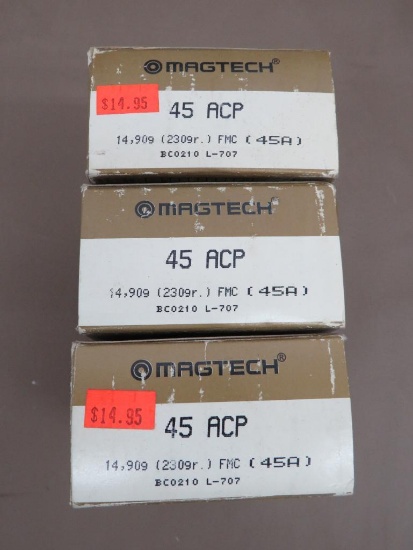 45 ACP Ammunition