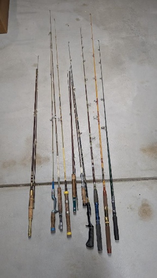 Fishing Rod Assortment