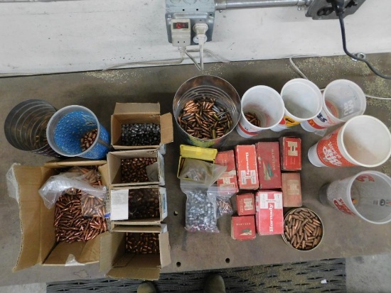 Assortment of Bullets