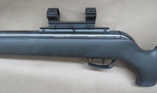 Gamo Whisper Pellet Rifle