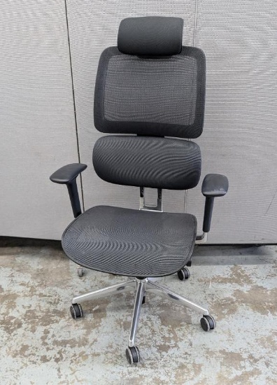 Ergonomic Office Chair