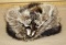 Dan's Hat Co, Denver, CO Raccoon Hat