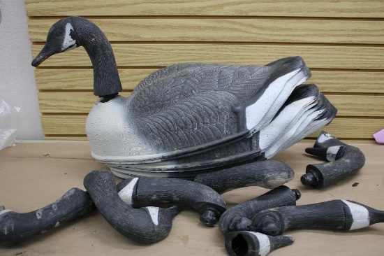 Small Canadian Goose Decoys, 12 Bodies with Eight Heads