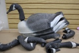 Small Canadian Goose Decoys, 12 Bodies with Eight Heads