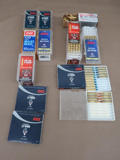 22 Magnum Ammunition
