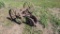 Primitive Axle and Wheels