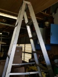 8' Aluminum Ladder