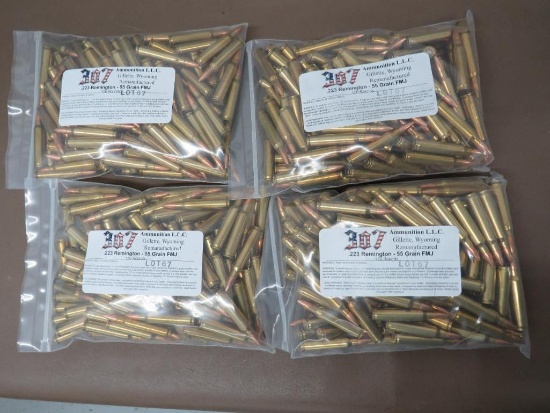 307 LLC 223 Ammunition
