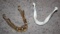 Toothless Real Human Mandible for Dental Study and Replica Mandible Surgical Model
