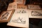 Artist Signed Wildlife Prints by Noel Smith and Dan Andrews