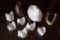 Cast Plaster Dental Molds, Facial Mold, and Replica Mandible