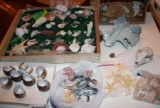 Land and Sealife Collection
