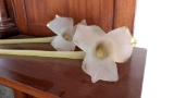 Glass Flowers