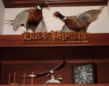 Pair of Taxidermy Pheasants and Other Shelf Contents