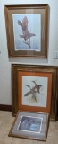 Framed Wildlife Artwork