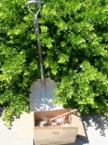 Aluminum Scoop Shovel & Copper Fittings