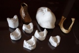Cast Plaster Dental Molds, Facial Mold, and Replica Mandible