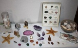 Fantastic Collection of Rocks and Minerals, Sea Shells, and More