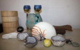 Collection of Rocks and Minerals, Shells, Wood, Glass, and More