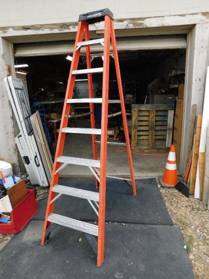 8' Werner Fiberglass Ladder