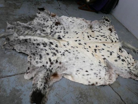 Horse Hide