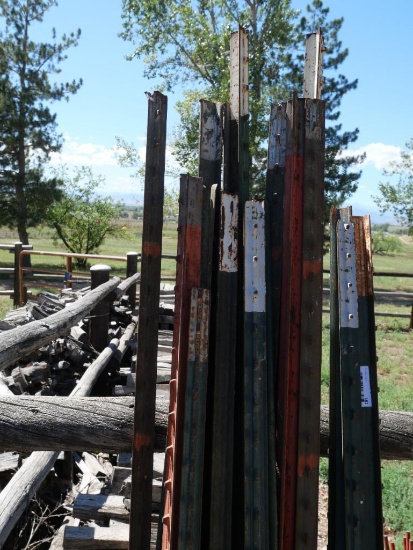 Fourteen T Posts